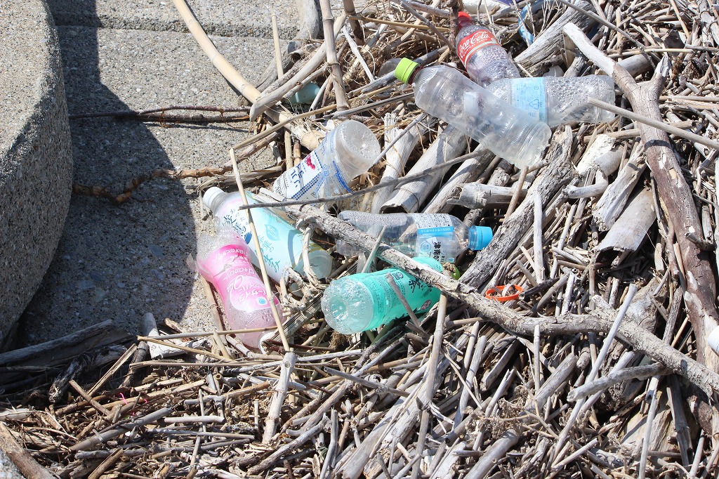 消波ブロックからゴミを取り出す子どもたち