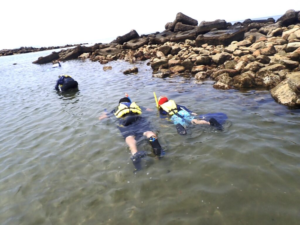 透明度の高い海でスノーケリング体験を楽しむ参加者たち