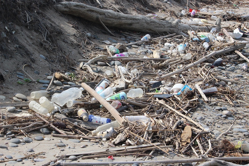 第360回西の浜クリーンアップ活動の参加者集合