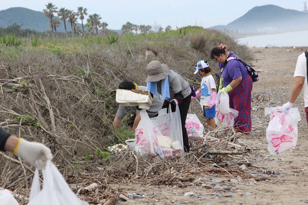 前日の雨で打ち上げられた流木とゴミを回収する参加者たち