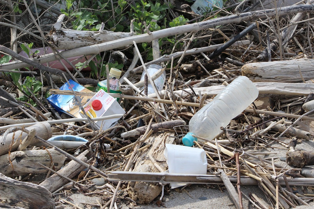 浜崖の茂みまで上がってゴミを探す参加者たちの積極的な活動