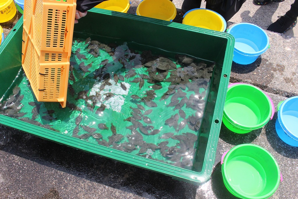 企業ボランティアと中学生が協力して環境保全活動に取り組む様子