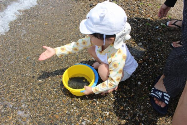 第364回西の浜クリーンアップ活動レポート｜アラコ134名参加でヒラメ放流
