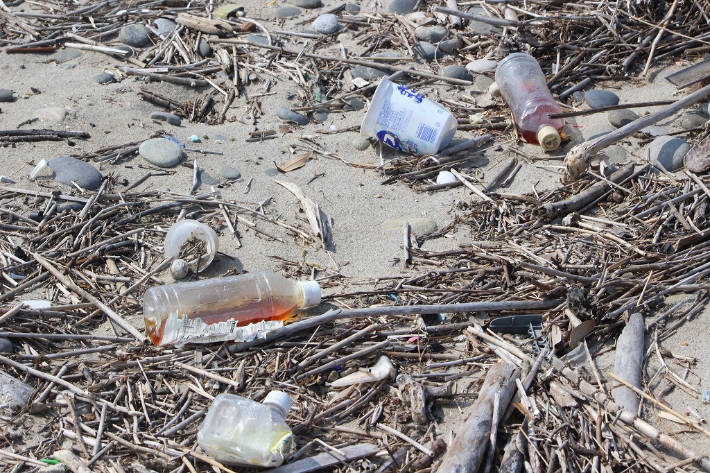 第366回西の浜クリーンアップ活動開始前の集合写真・お盆最終日に30名が参加