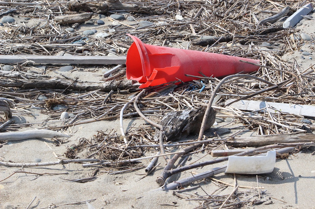 福江中学校ドリームの会から参加した6名の中学生たちの活動の様子