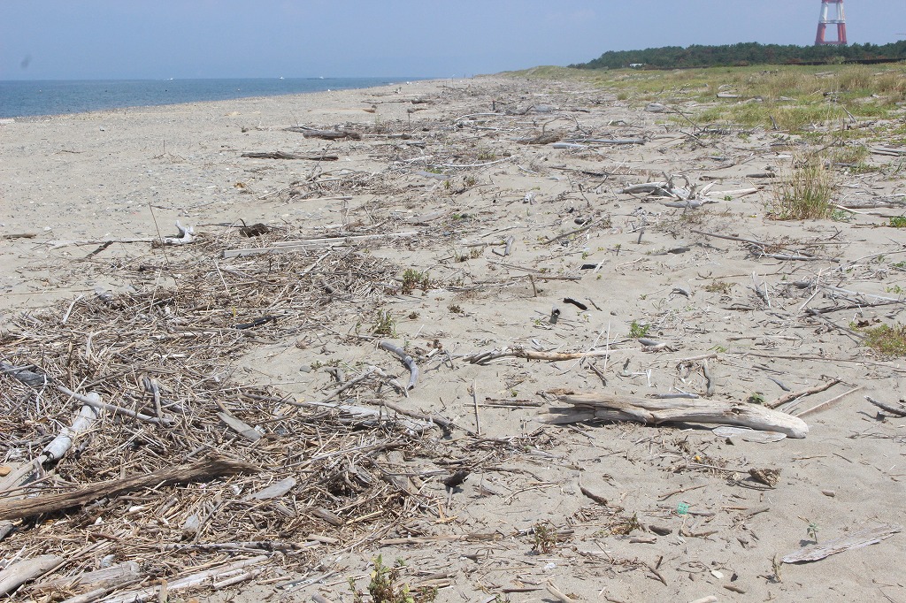 お盆最終日の西の浜クリーンアップ活動に参加した全員での最終集合写真