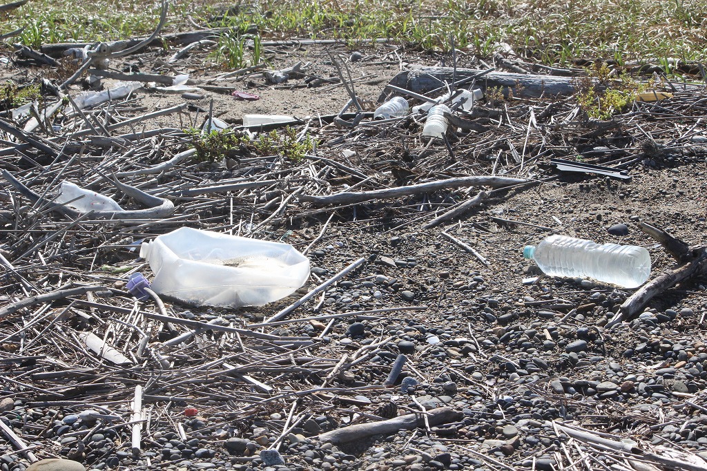 海岸に漂着した様々なゴミの状況