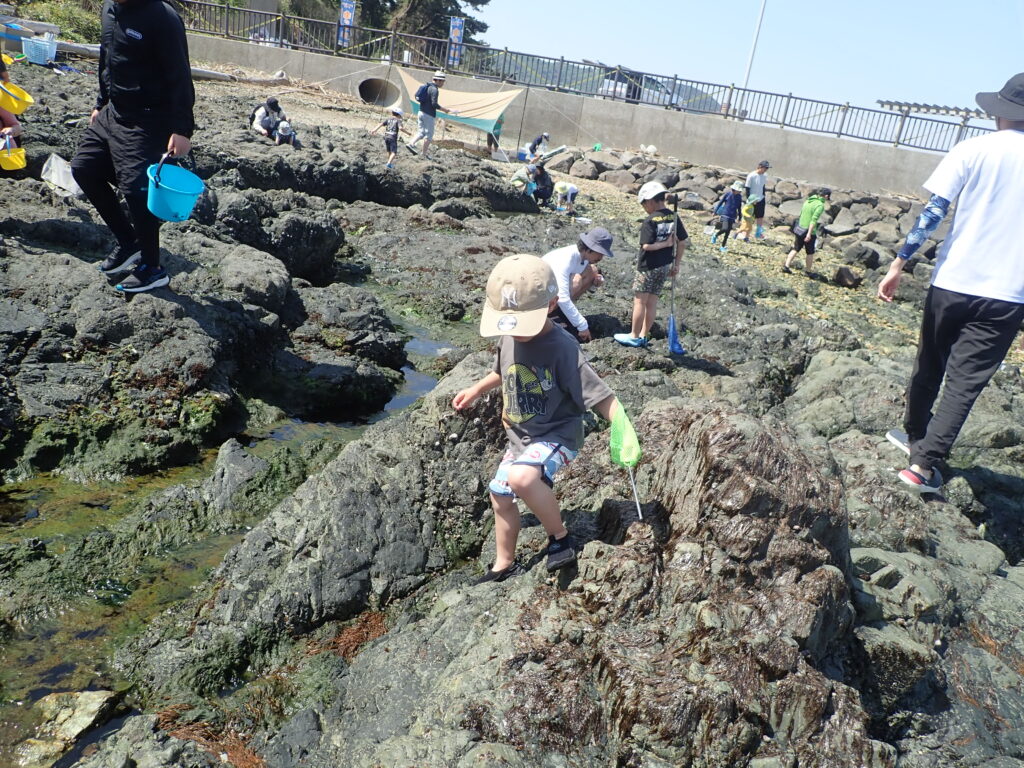 宇津江港公園奥の美しい磯の風景