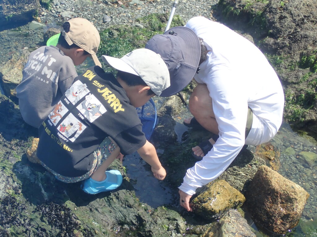 子どもたちが初めて海の生き物に触れる瞬間