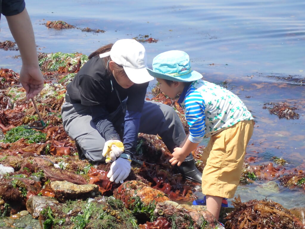観察会前のクリーンアップ活動に取り組む参加者