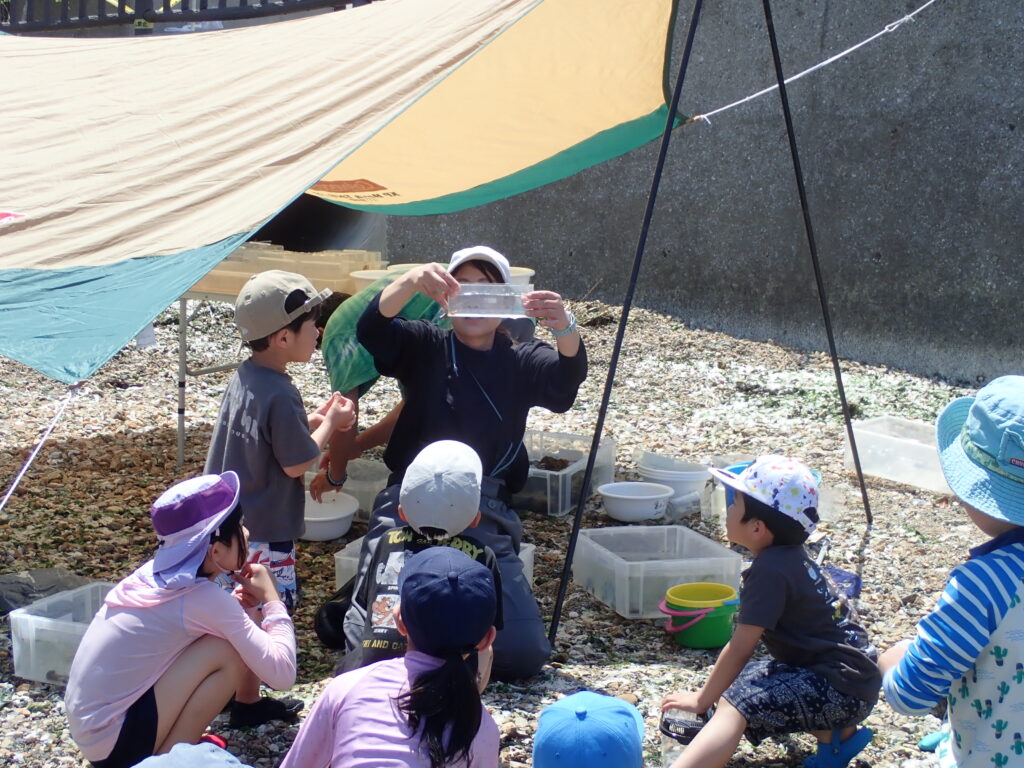 生き物に触れることができるようになった子どもたちの成長