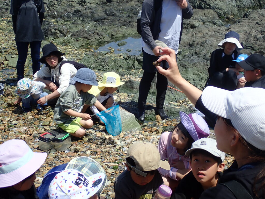 講師による生き物の解説を真剣に聞く参加者たち