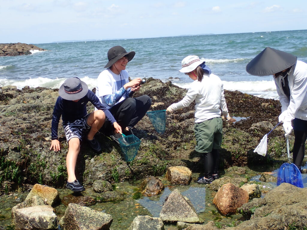 親子で協力して岩の隙間から海洋生物を探す参加者たち