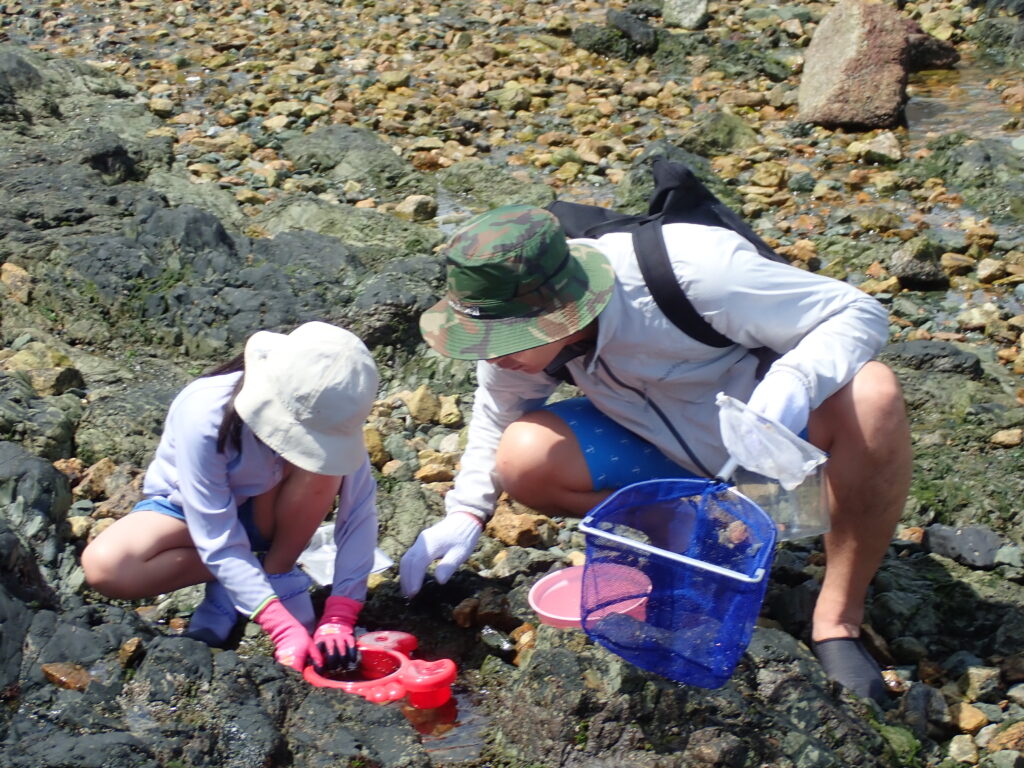 色とりどりのイソギンチャクに触れて驚く子どもたちの表情