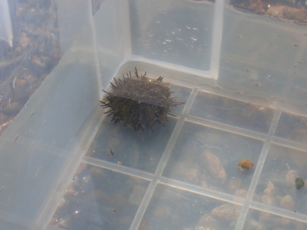 講師による生物解説を真剣に聞く参加者たち