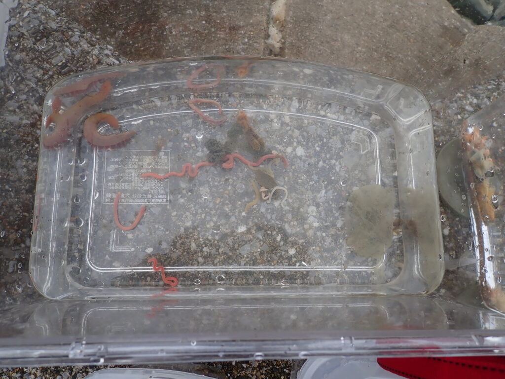 海上講師による詳しい生物解説を聞く参加者たち