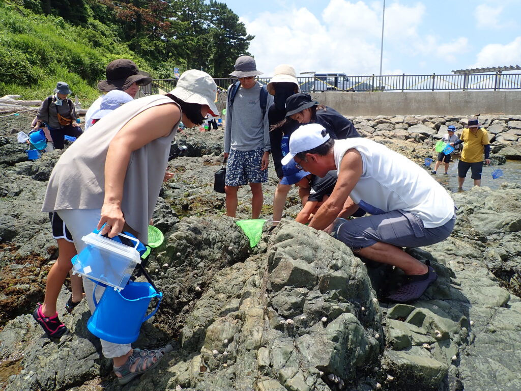 真夏の磯の観察会に集まった30名の参加者による受付の様子