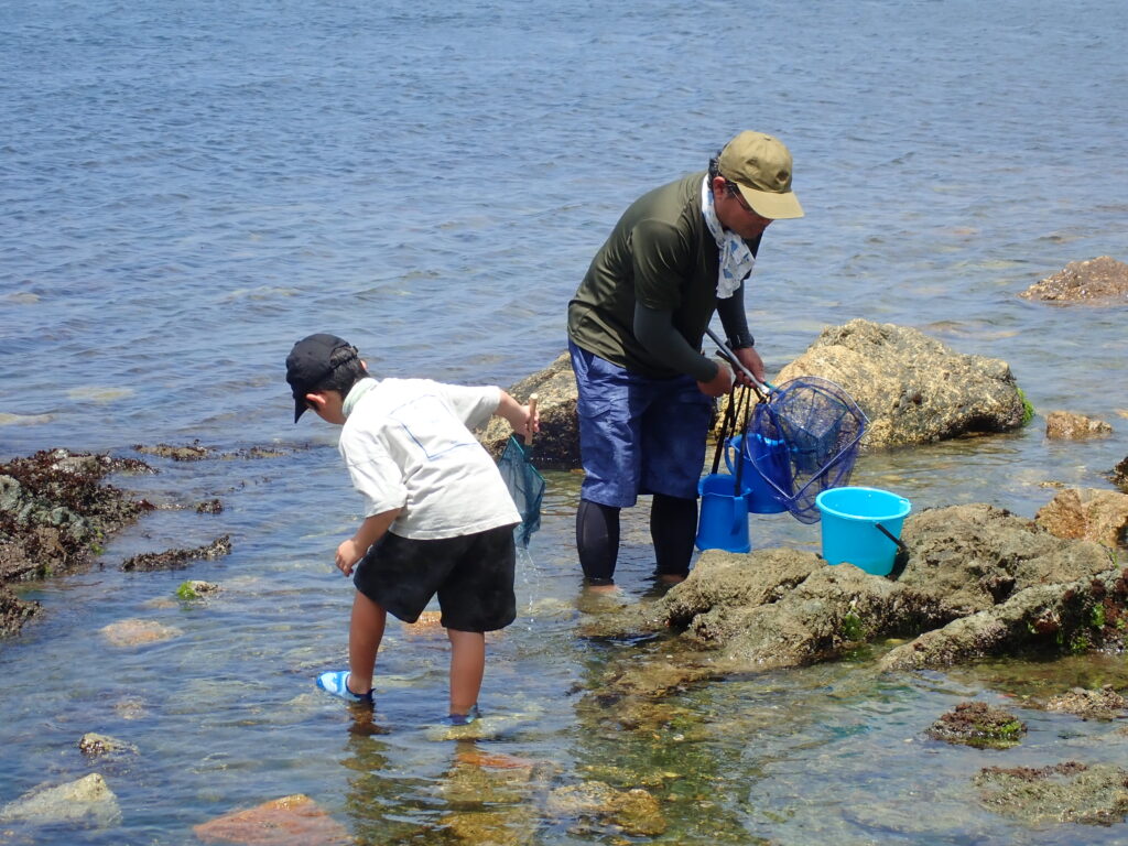 磯の岩場でタイドプールを覗き込んで生き物を探す参加者たち