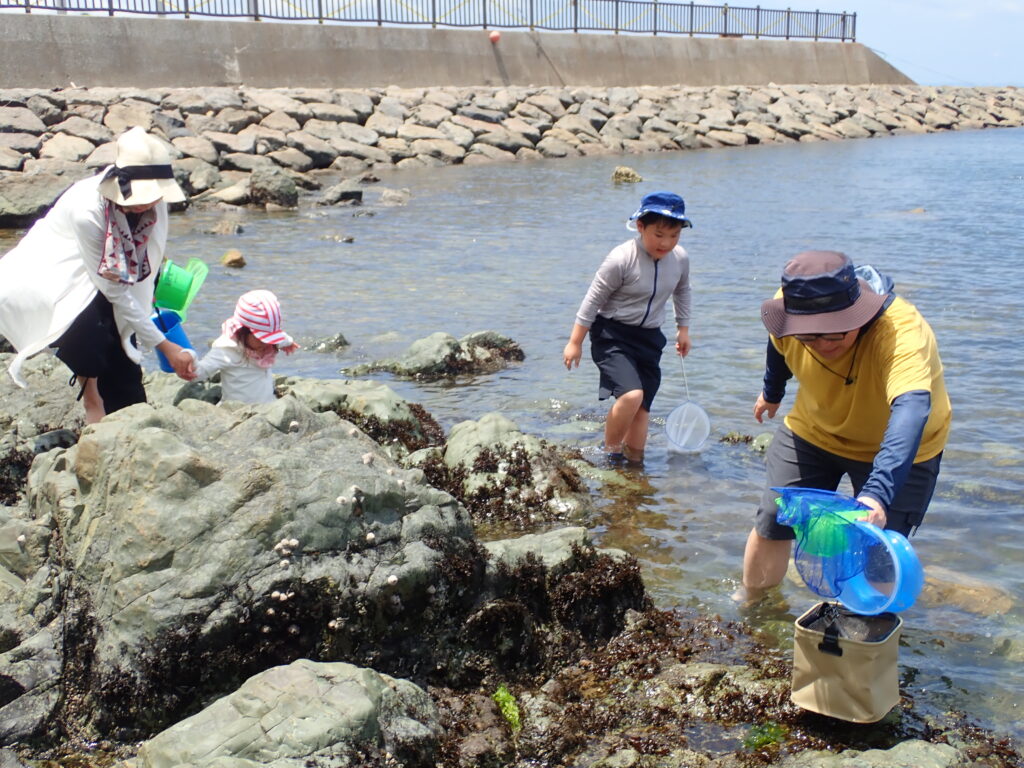 多種多様なカニやエビ類を観察する親子の様子