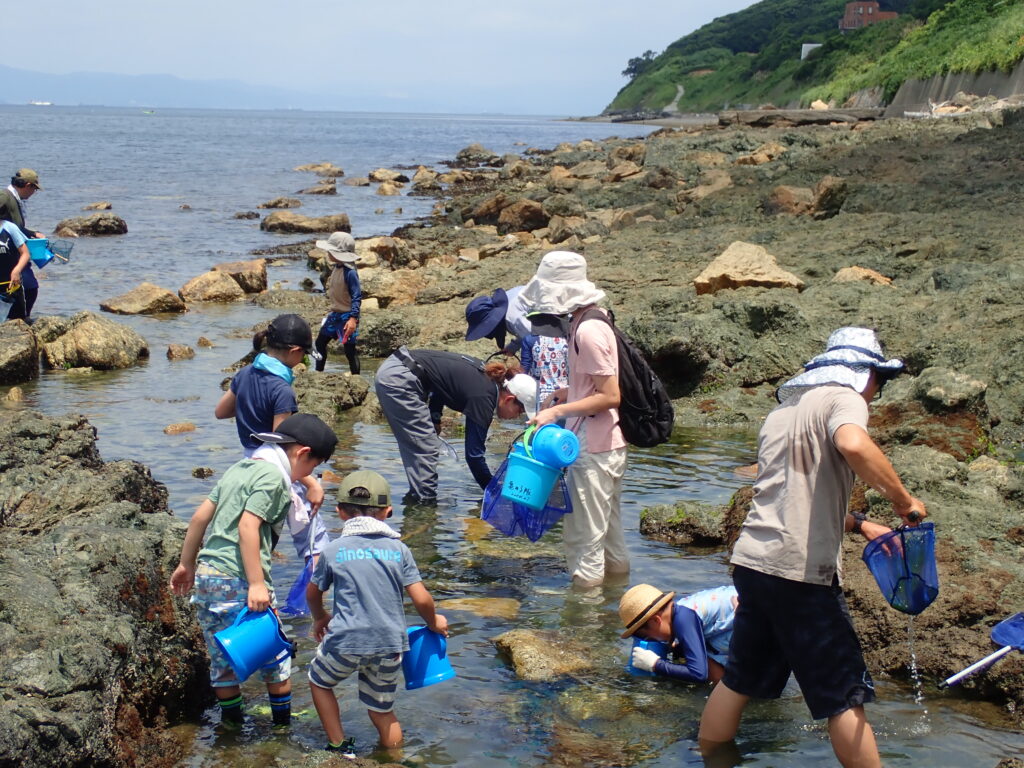 宇津江港公園奥の磯で開会式を行う参加者集合の様子