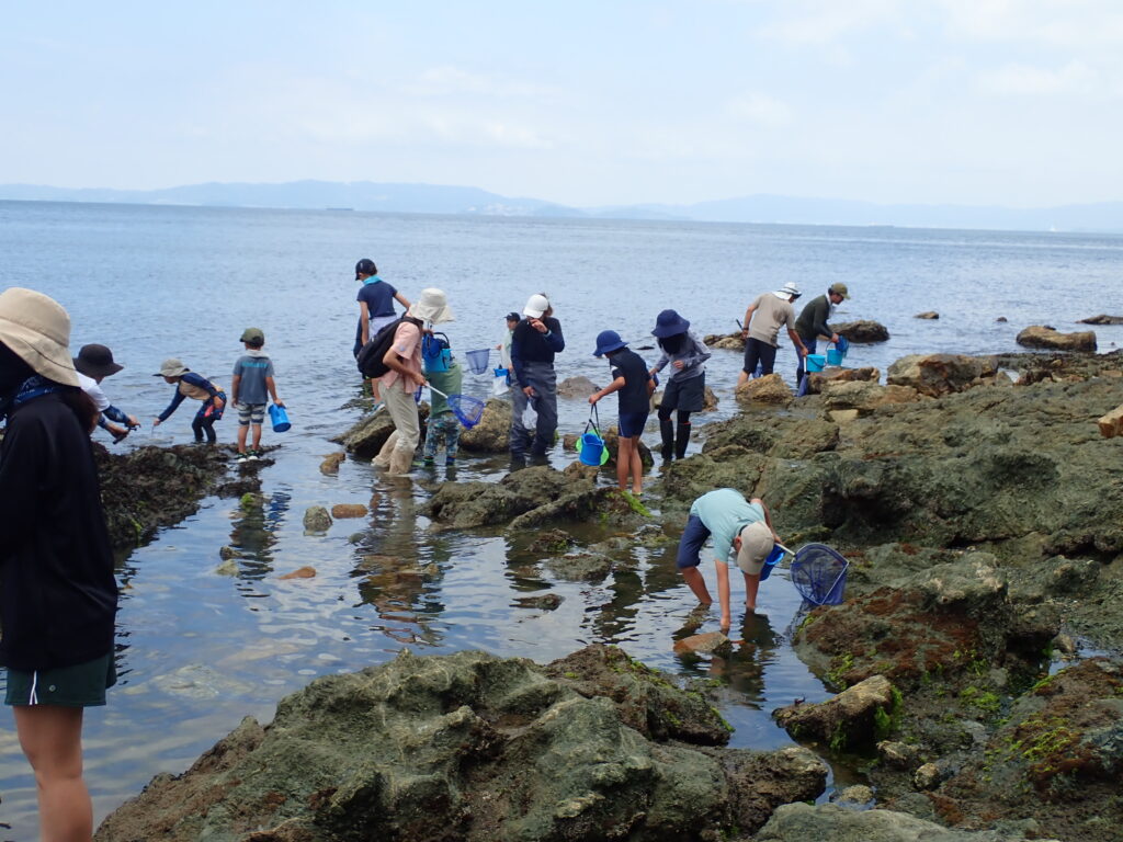 親子で協力して動石をめくり海の生き物を発見する瞬間