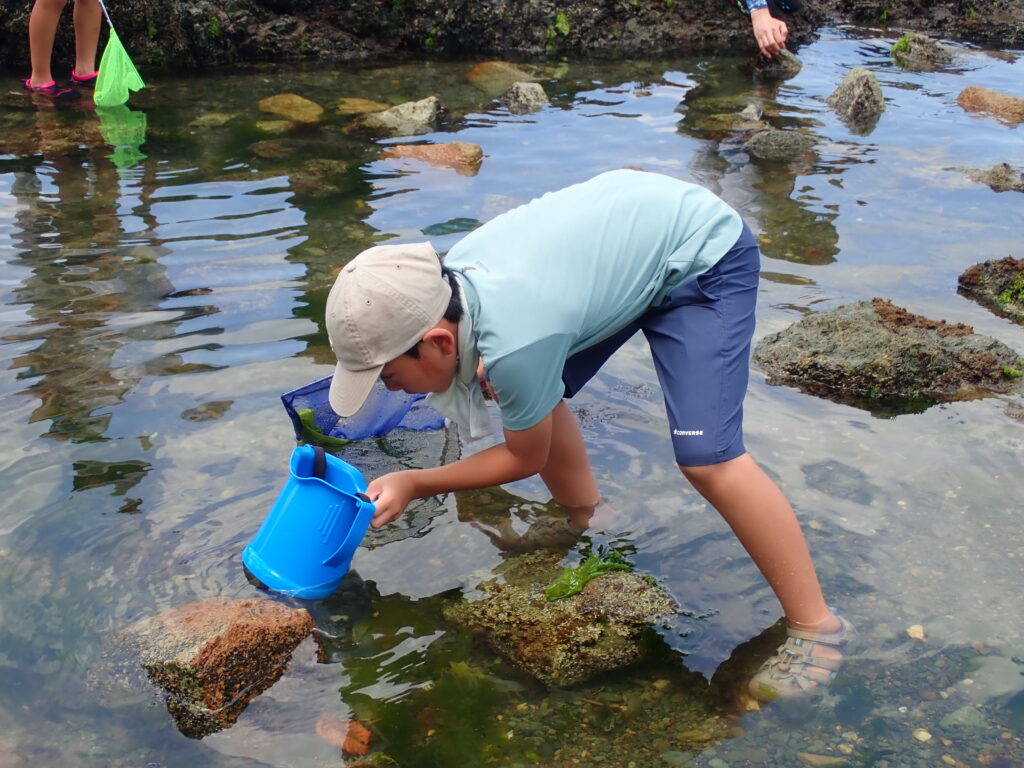 観察会開始前に消波ブロックの隙間からゴミを取り出す子どもたち
