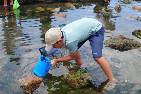 海の環境を学ぶ会～真夏の磯の観察会レポート｜親子30名参加で29種類発見