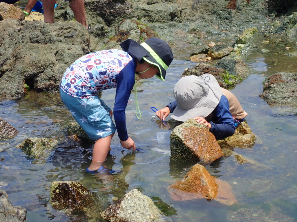 真夏の安全対策として水分補給と注意事項を説明する様子