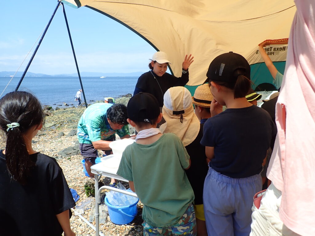 イソガニとヒライソガニの見分けクイズに挑戦する子どもたち