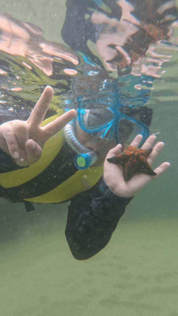 海中でマンツーマン指導を受けながら生き物を観察する子どもたち