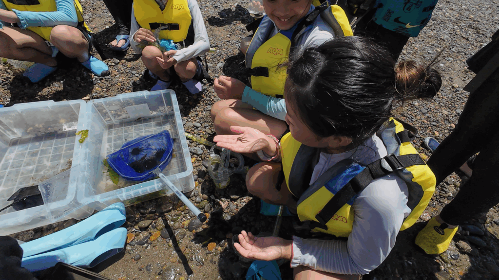 網で海の生き物を捕まえ大興奮する子どもたちのスノーケリング体験