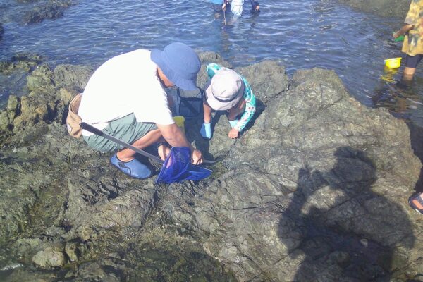 海の環境を学ぶ会～秋の磯観察会｜49名参加で19種類の海の生き物を発見