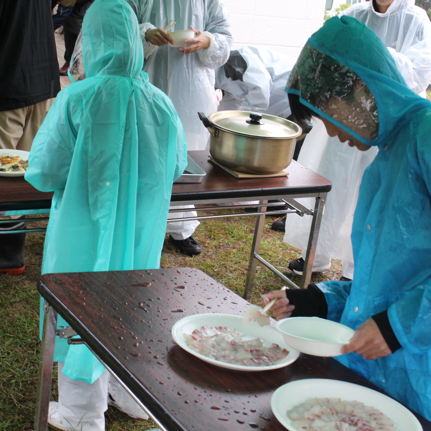 雨天延期開催タッチングプール画像5