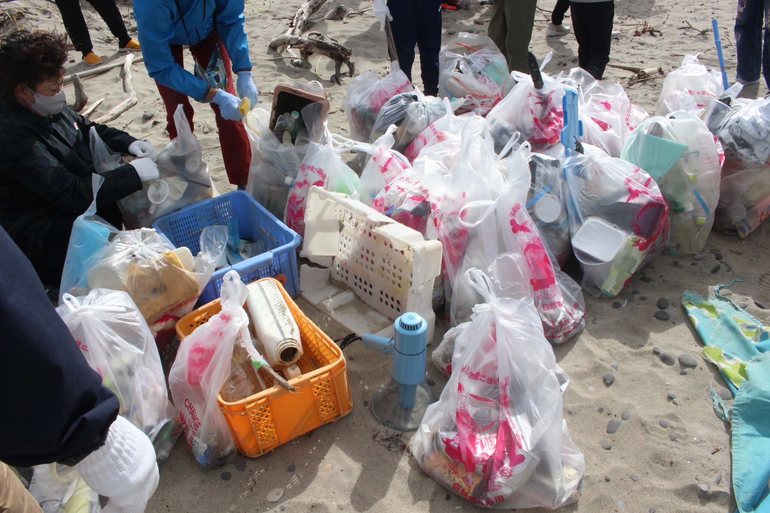 写真7 なごや環境大学共育講座レポート