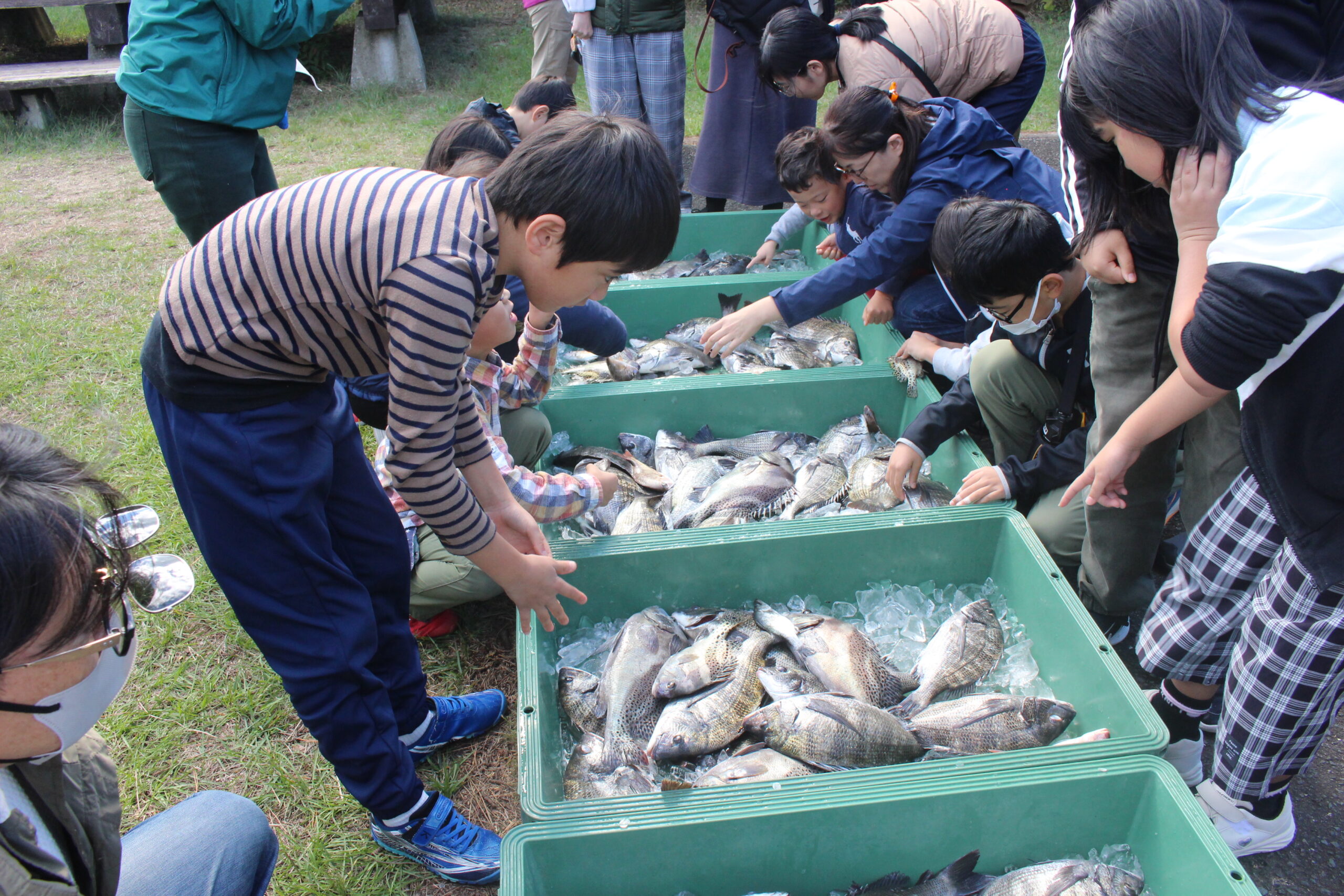 写真10 なごや環境大学共育講座レポート