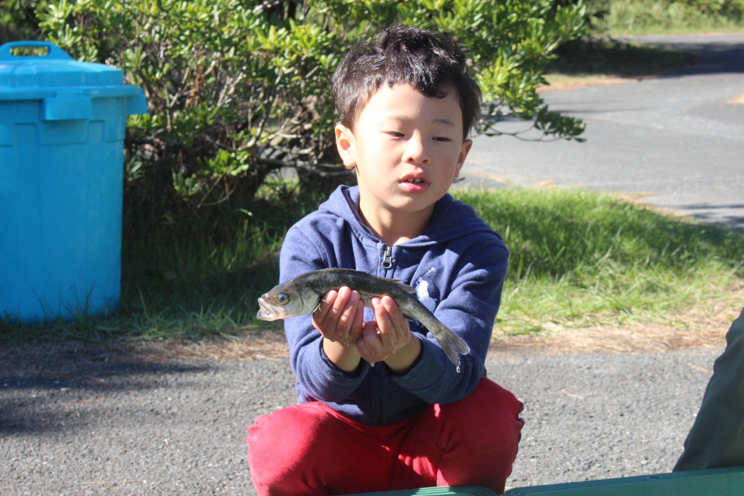 写真20 なごや環境大学共育講座レポート