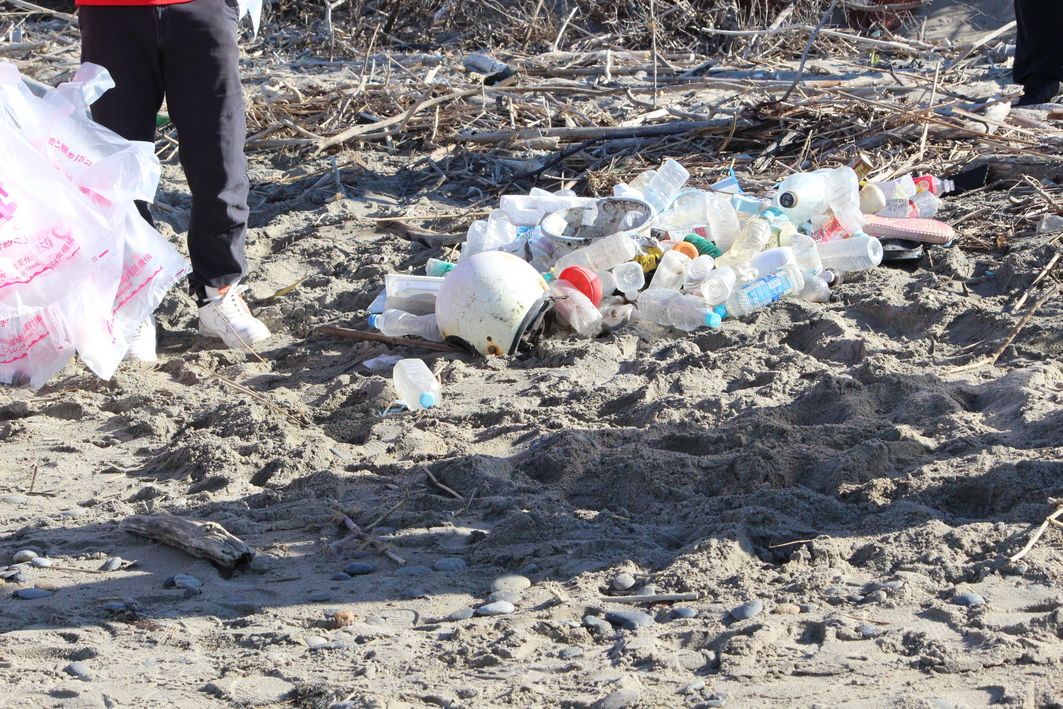 1-第369回西の浜クリーンアップ活動レポート