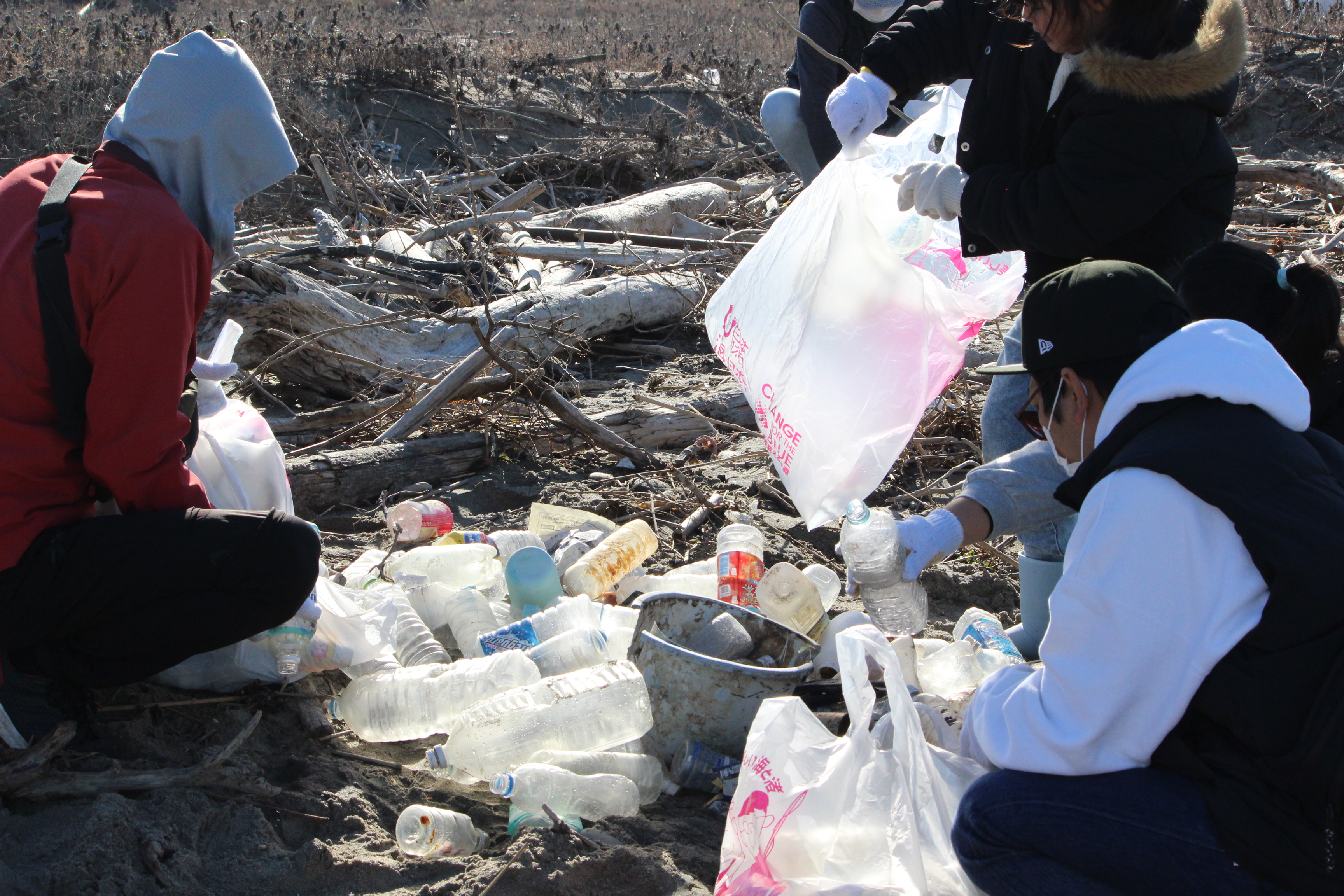 2-第369回西の浜クリーンアップ活動レポート