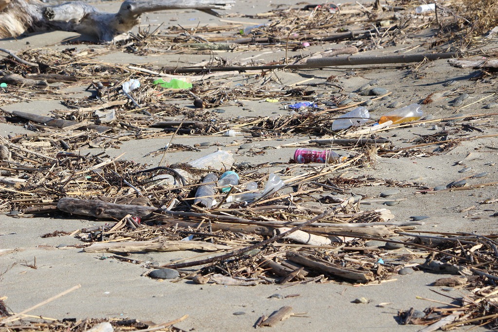 5-なごや環境大学共育講座~エコツアー:渥美を学び渥美を食べよう!レポート