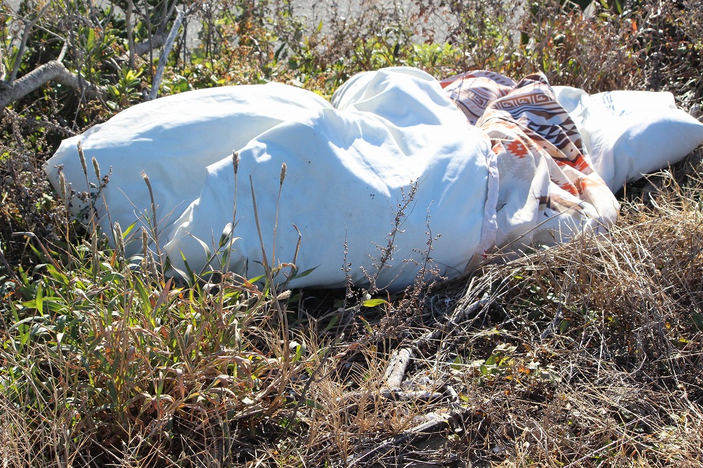 4-なごや環境大学共育講座~エコツアー:渥美を学び渥美を食べよう!レポート