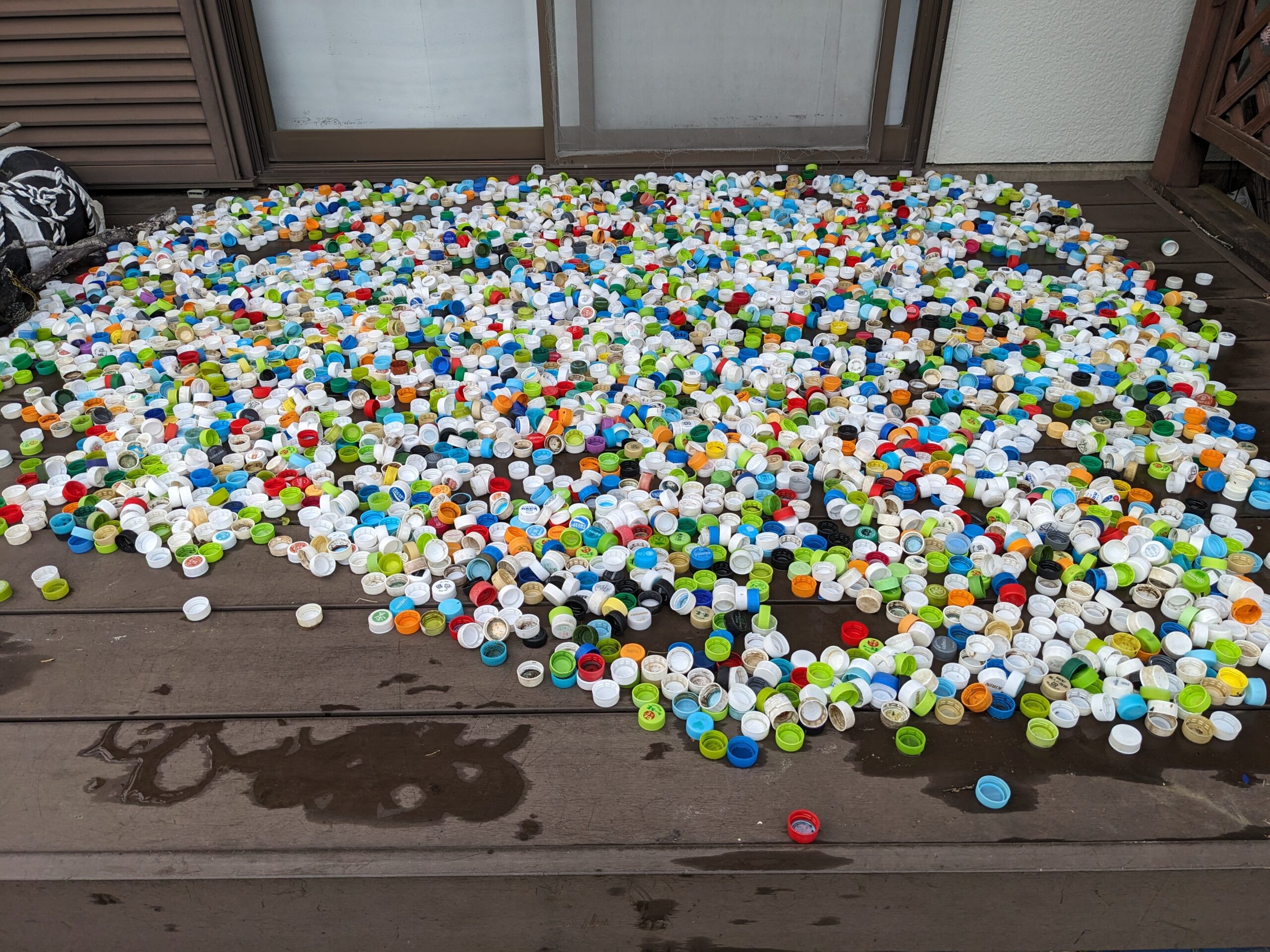 ペットボトルキャップ回収活動報告7