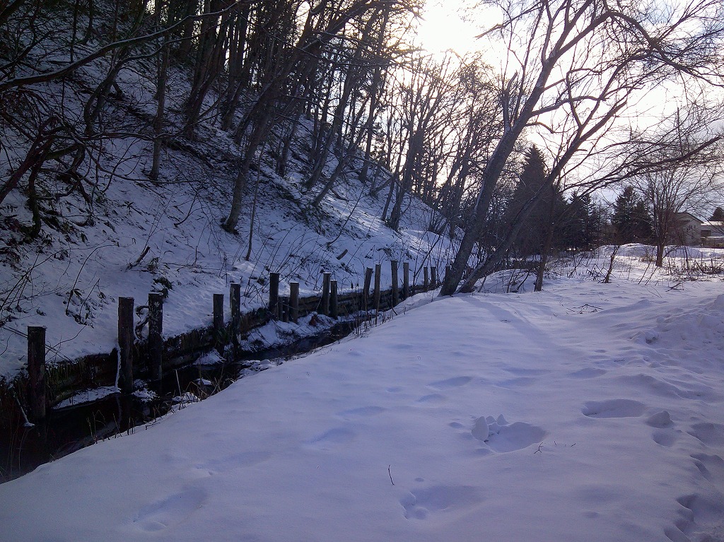 北海道体験学習会16