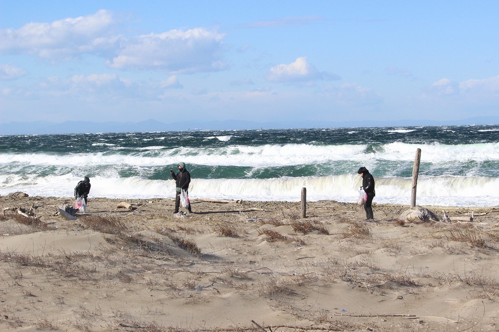 第368回西の浜クリーンアップ活動の様子06