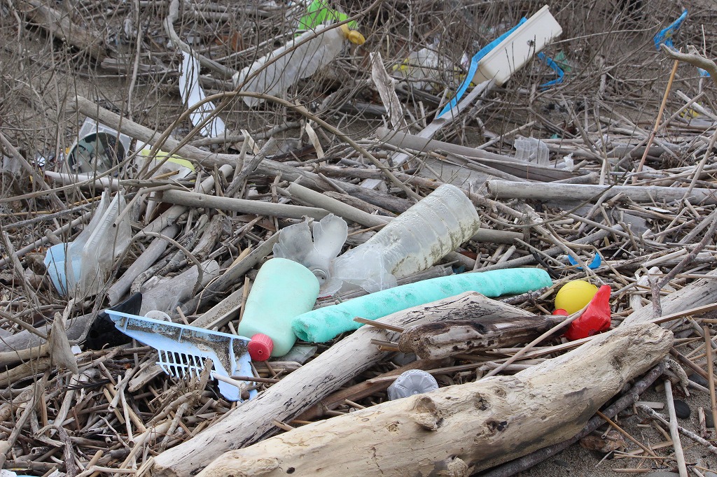 第369回西の浜クリーンアップ活動4