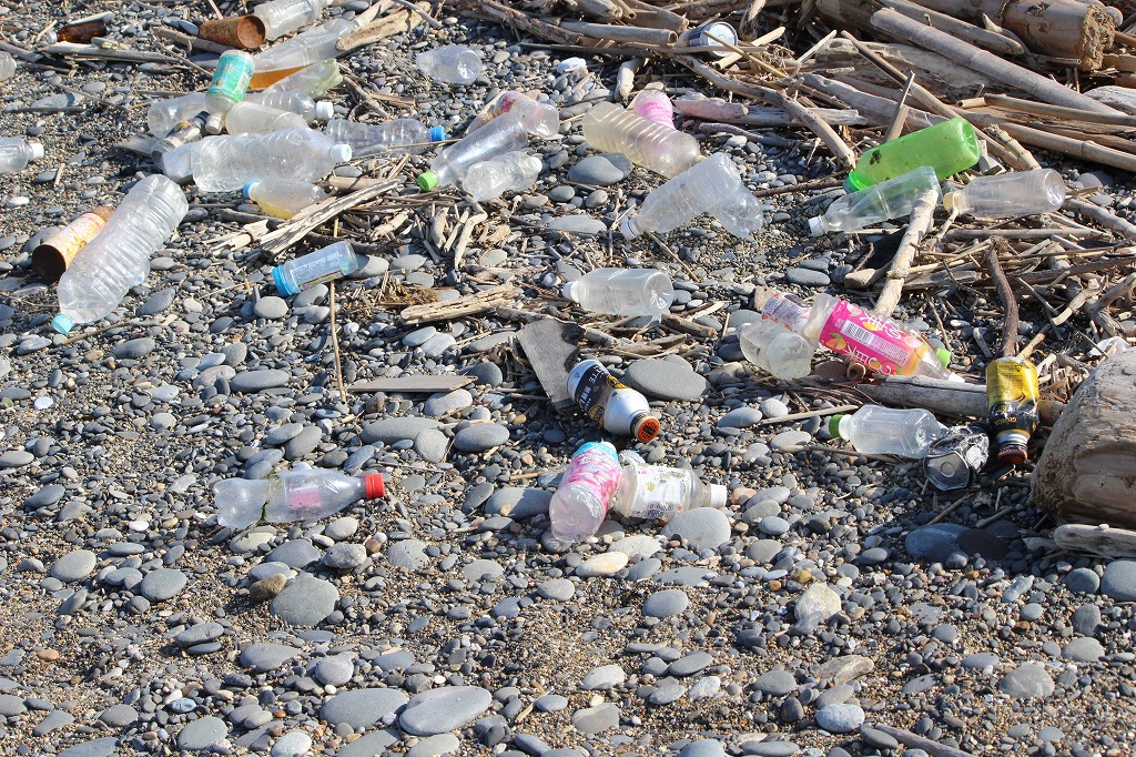 第369回西の浜クリーンアップ活動13