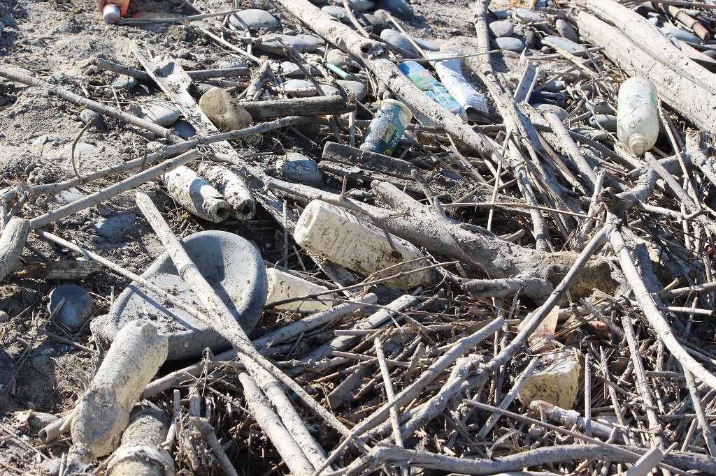 第370回西の浜クリーンアップ活動_1