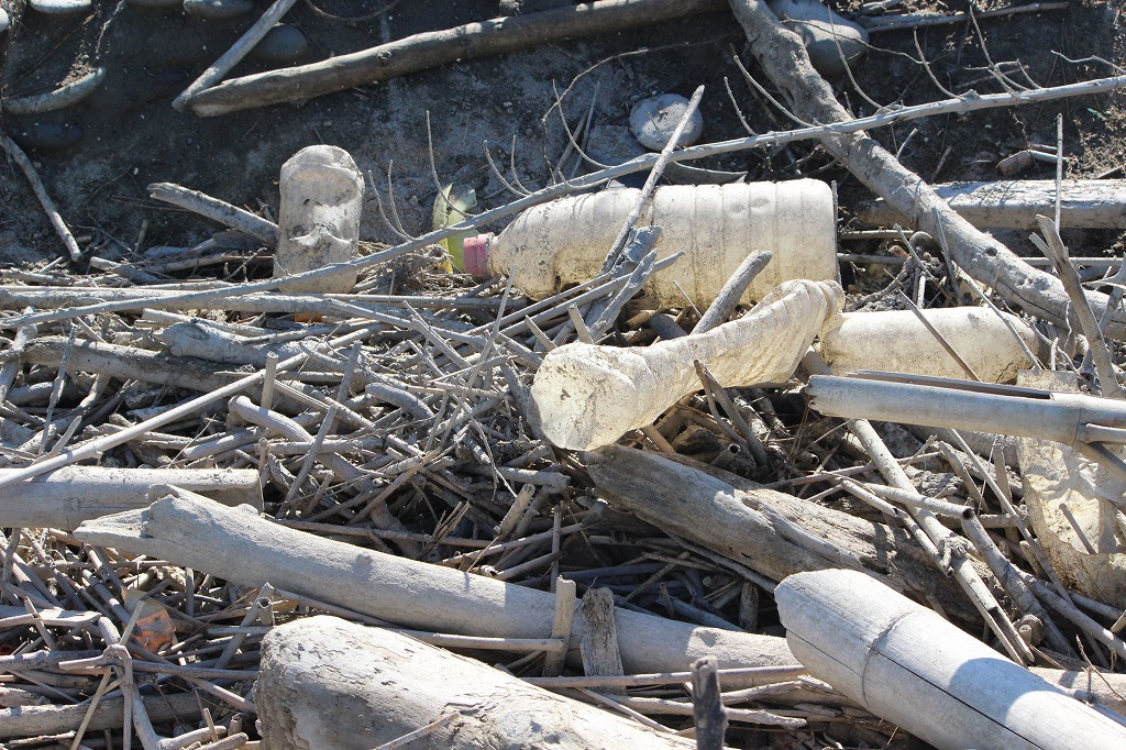 第370回西の浜クリーンアップ活動_2