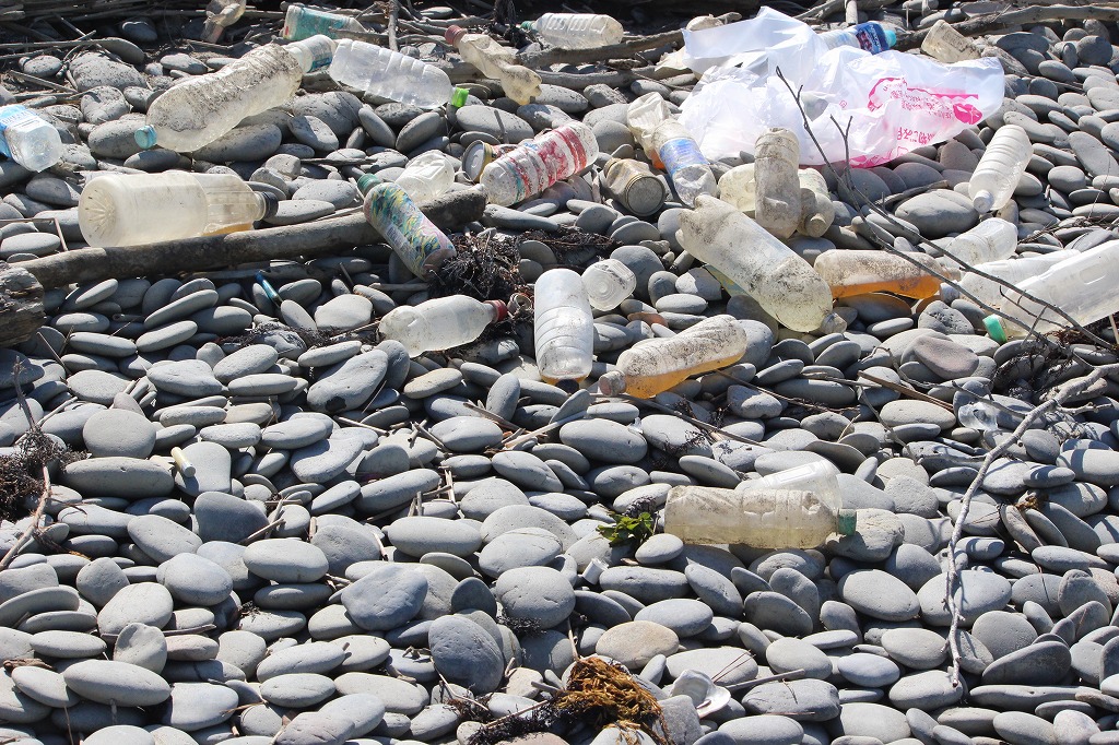 第370回西の浜クリーンアップ活動_17