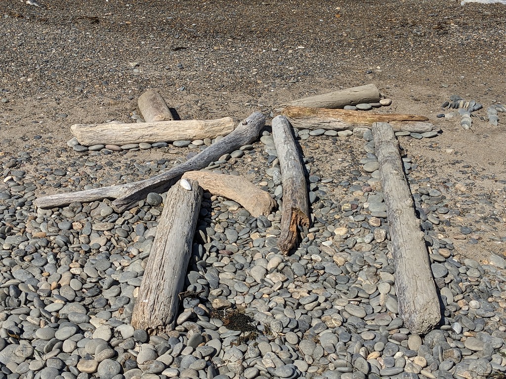 第370回西の浜クリーンアップ活動_26