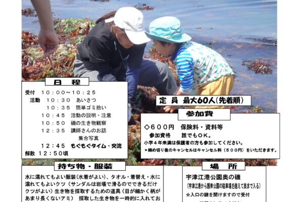 海の環境を学ぶ会～磯の観察会No.1参加者募集